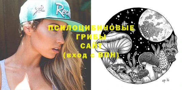 сатива Алексин