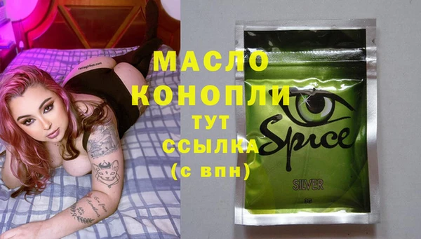индика Новокубанск