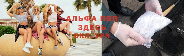 индика Новокубанск