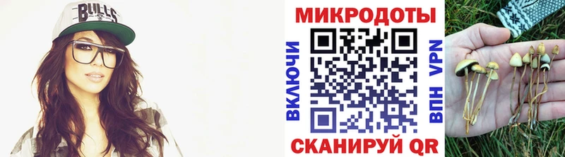 Псилоцибиновые грибы Psilocybine cubensis  продажа наркотиков  Петрозаводск 