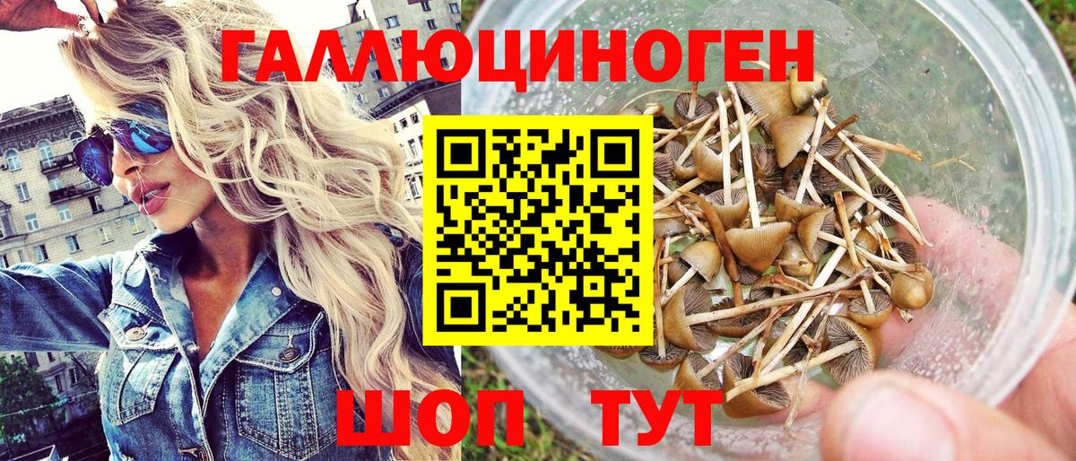 Петрозаводск  Галлюциногенные грибы MAGIC MUSHROOMS  Вход с VPN  Псилоцибиновые грибы GOLDEN TEACHER 